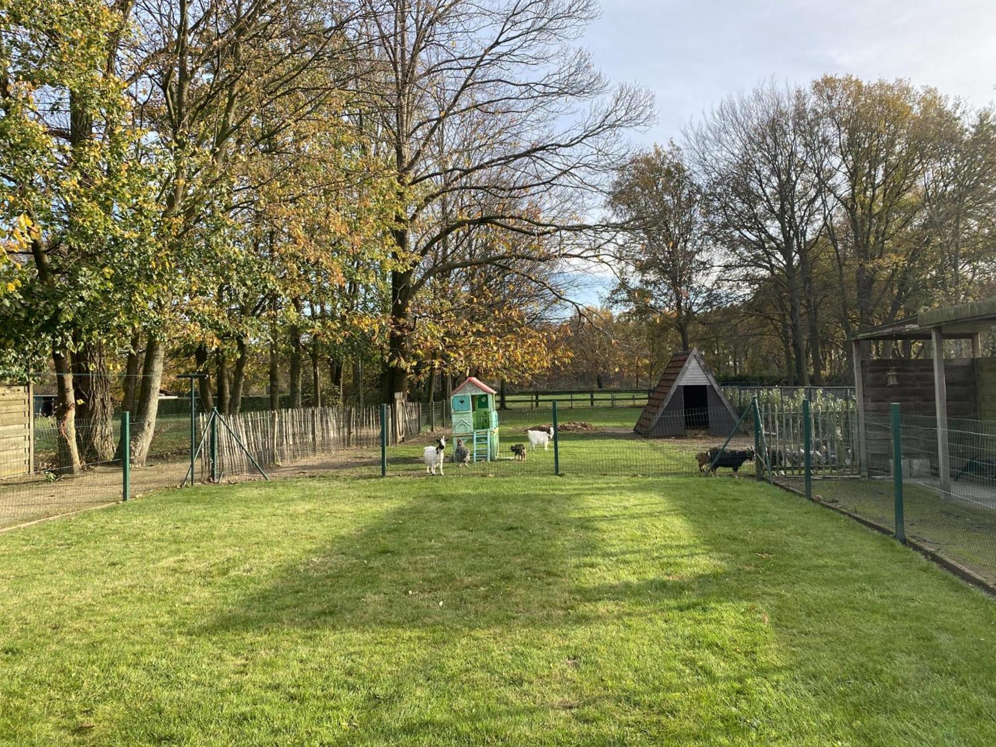 Het Bruegelhof Villa Peer Bagian luar foto